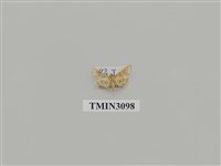 藏品(螟蛾147)的圖片